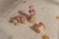 Little Dutch koka rotaļlietu dāvanu komplekts Fairy Garden