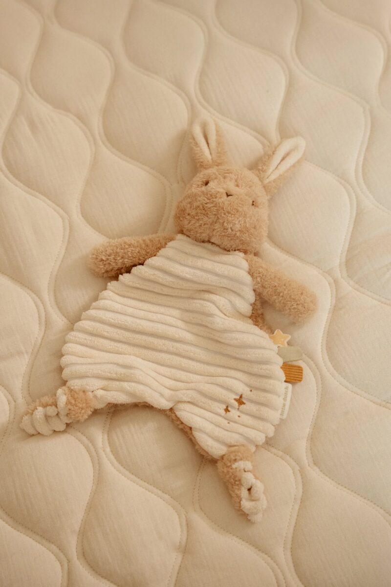 Little Dutch miega lupatiņa Zaķītis Newborn Naturals, 33 cm