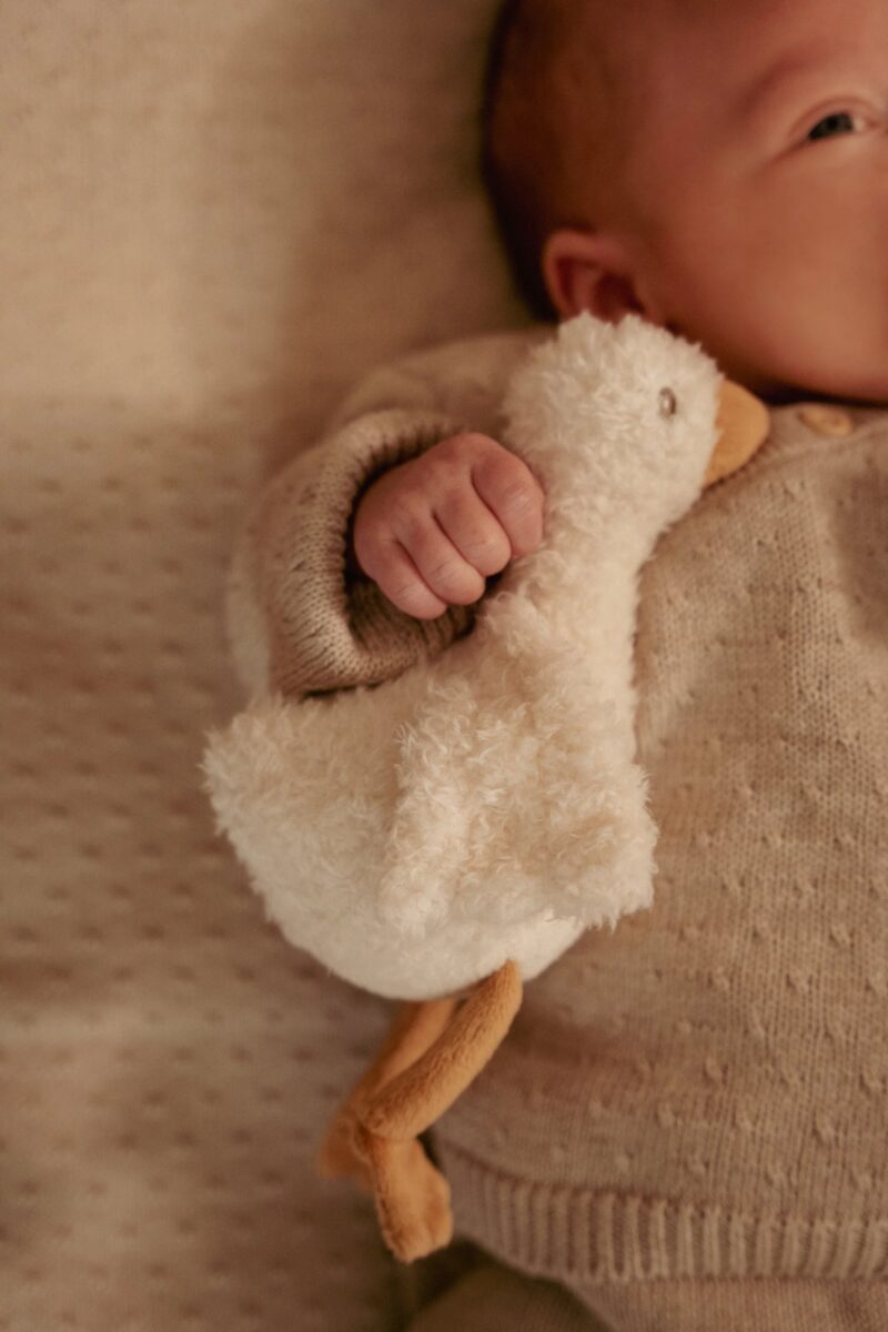 Little Dutch dāvanu komplekts jaundzimušajam Newborn Naturals