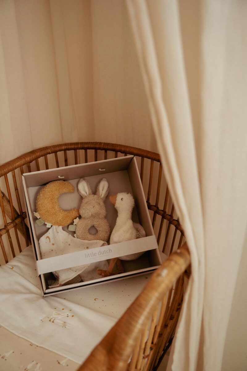 Little Dutch dāvanu komplekts jaundzimušajam Newborn Naturals